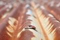 Old rusty corrugated metal sheet Royalty Free Stock Photo