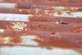 Old rusty corrugated metal sheet Royalty Free Stock Photo