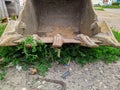 old and rusty dirty digger excavator bucket on the street. Royalty Free Stock Photo