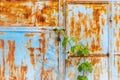 Old rusty door for use as a background Royalty Free Stock Photo