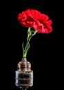 Old rusty drill head and carnation on a black background