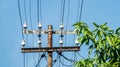 Old rusty electrical pole with many wires and transformers near the tree