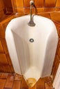 Old And Rusty English Style Urinal