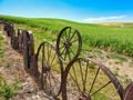 Old Rusty Farm Equipment Wheels in Palouse Hills