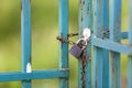 Old rusty fence or gate with chained padlock Royalty Free Stock Photo