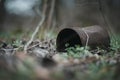 Old rusty food can in the woods Royalty Free Stock Photo