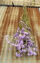 Old and rusty galvanize wall and dry flower bouquet