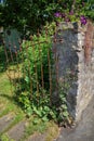 Old rusty garden gate and stone wall. West Tanfield, North Yorkshire. Royalty Free Stock Photo