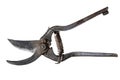 Old and rusty garden pruner or gardening scissors, isolated on a white background Royalty Free Stock Photo