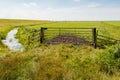 Old rusty gate in front of a meadow Royalty Free Stock Photo