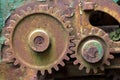 Old rusty gear overgrown with green moss Royalty Free Stock Photo