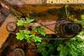 Old rusty gear wheel with chain and green plants Royalty Free Stock Photo
