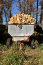 Grain wagons full of split firewood