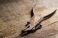 An old rusty hand tool on a background of wood. Royalty Free Stock Photo