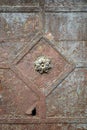 An old rusty, old door with ornate detailing and peeling paint Royalty Free Stock Photo