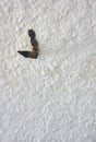 Old rusty hook on a rough white wall Royalty Free Stock Photo