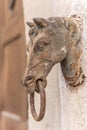 Old rusty horse's head with a ring for tying horses in a backyard Royalty Free Stock Photo