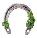 Old rusty horseshoe and four leaf clover Royalty Free Stock Photo