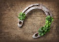 Old rusty horseshoe and four leaf clover Royalty Free Stock Photo