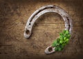 Old rusty horseshoe and four leaf clover Royalty Free Stock Photo