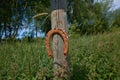 Old Rusty Horseshoe Nailed to Wooden Pole