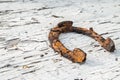 Old rusty horseshoe Royalty Free Stock Photo