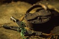 Old Rusty Iron Barn Vintage Antique Lock with Keys Royalty Free Stock Photo