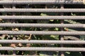 Old and rusty iron bars. In the background dried leaves and gras Royalty Free Stock Photo