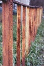 Old rusty iron fence in the grass. Royalty Free Stock Photo