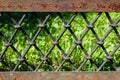 Old rusty iron fence Royalty Free Stock Photo
