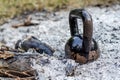 Old and rusty Kettlebell standing in the ashes Royalty Free Stock Photo