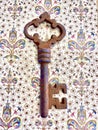 Old Rusty Key