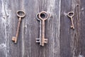 Old rusty key on farm barn wooden wall Royalty Free Stock Photo