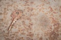 Old rusty key on grunge background. Vintage door key. Antique key on weathered background. Security and safety concept. Royalty Free Stock Photo