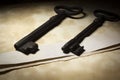 Old rusty keys Royalty Free Stock Photo