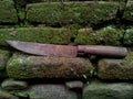 Old rusty knife on mossy wall background Royalty Free Stock Photo