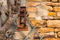 Old rusty lantern on a leafless tree in front of a sandstone wall in daylight Royalty Free Stock Photo