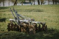 Old rusty lawnmower working in a field