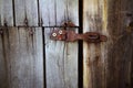 Old rusty lock hanging on the gray wooden door. Royalty Free Stock Photo