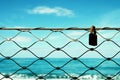 Old rusty lock over iron fence with blue sea background. Royalty Free Stock Photo