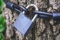 Old rusty lock on the tree. Padlock hanging from tree as a talisman or symbol of love. Conceptual picture of lock and chain for s Royalty Free Stock Photo