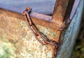 Old rusty metal chain on a boat Royalty Free Stock Photo