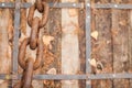 Old rusty metal chains on the wooden background in selective focus Royalty Free Stock Photo