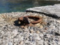 An old rusty metal mooring ring on the mooring wall on a sunny summer day. A device for holding sea vessels in port. Royalty Free Stock Photo