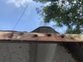 old rusty metal roof and blue sky Royalty Free Stock Photo