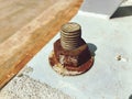 Old rusty metal screw. Royalty Free Stock Photo