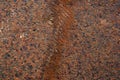 Old rusty metal sheet Royalty Free Stock Photo