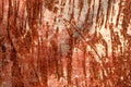 Old rusty metal wall. Rusty brown surface. Old metal door with cracks and rust. Grunge rusted metal background. Cracked paint text Royalty Free Stock Photo