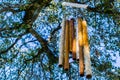 Old and rusty, metal wind chime, hanging from the branch of a live oak tree