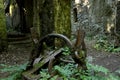 Old rusty mine cart in the ancient abandoned mines of Calferro. Archaeological Mines Park of Mulina di Stazzema, Italy. Royalty Free Stock Photo